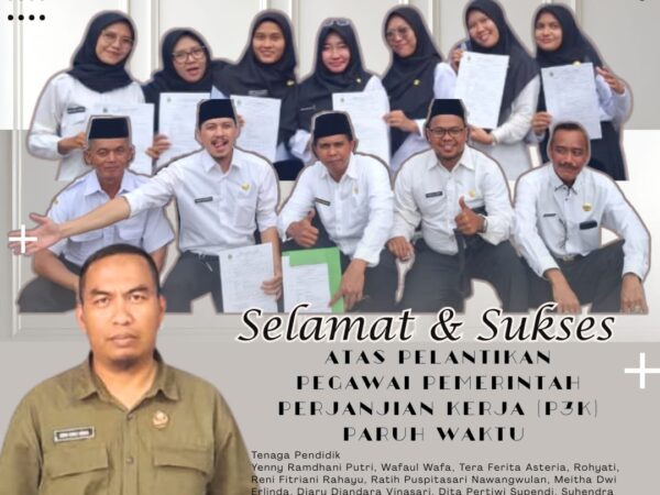 Pengangkatan PPPK Paruh Waktu